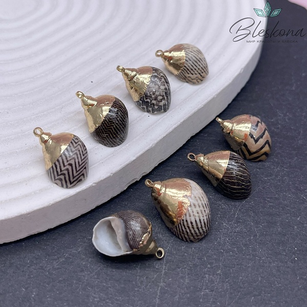 (14-20)*(11-14) мм Цвет золото, Подвеска Ракушка черные полосы