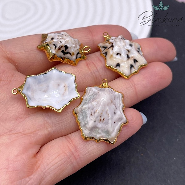 (23-26)*(16-19) мм, Подвеска Ракушка бело-черная