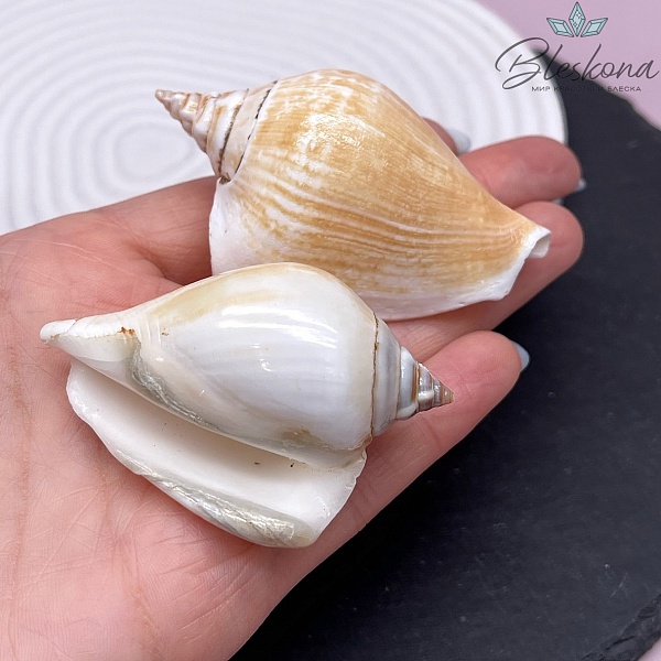 (55-63)*(36*41) мм, Подвеска ракушка