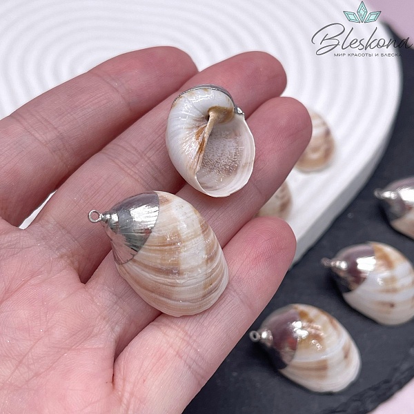 (24-30)*(21-22) мм Цвет серебро, Подвеска Ракушка бежевая полосы