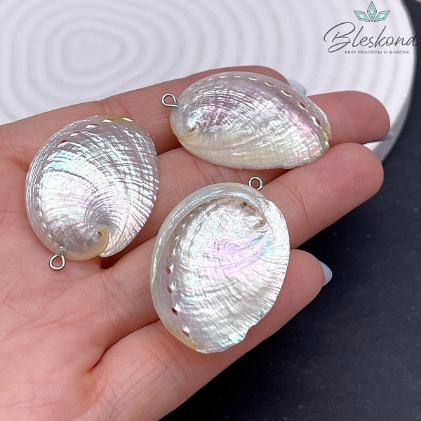 Подвеска Раковина Абалон (40-42)*(24-26) мм