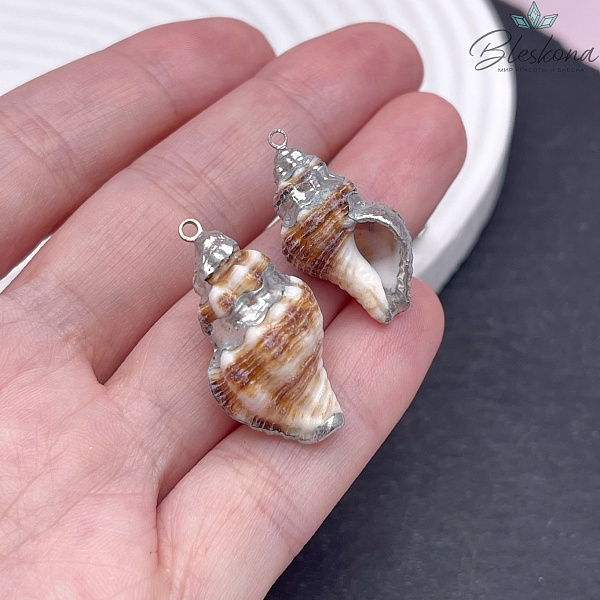 (25-31)*(12-16) мм Цвет серебро, Подвеска ракушка коричневая