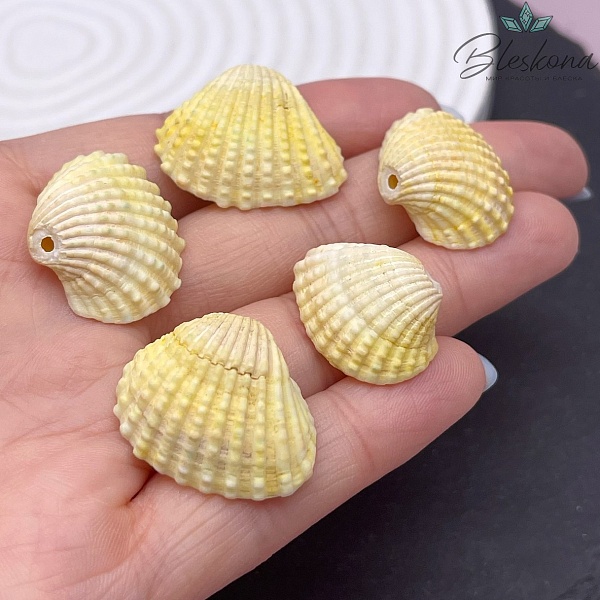 (16-22)*(18-29) мм, Подвеска Ракушка желтая уп.5 шт 