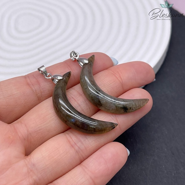 35,5*19,5 мм Цвет серебро, Подвеска полумесяц Лабрадор