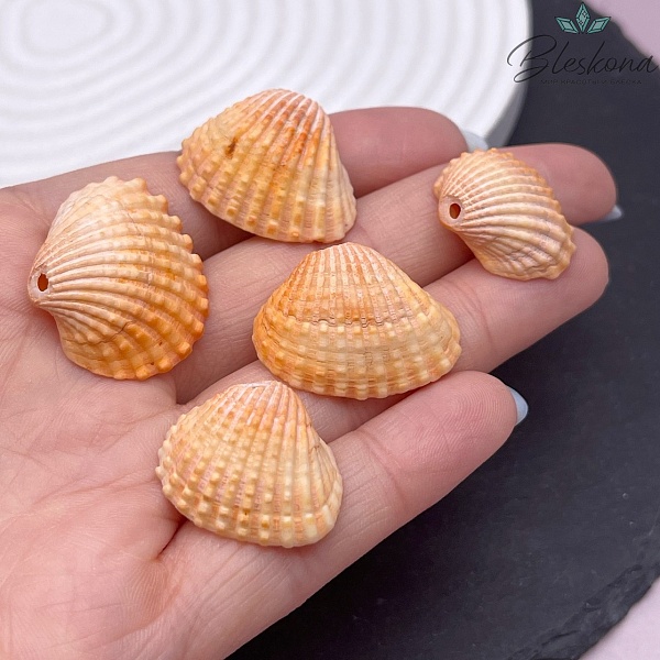 (16-22)*(18-29) мм, Подвеска Ракушка оранжевая уп.5 шт 