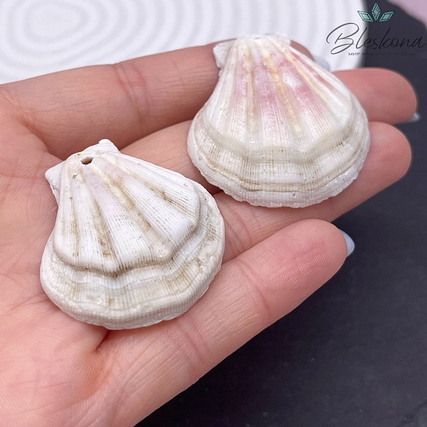 (35-41)*(30-37) мм, Подвеска Ракушка бело-розовая