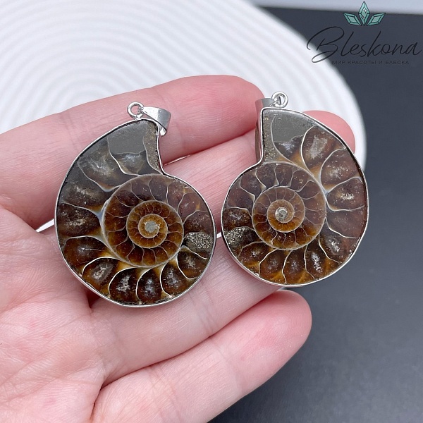 Парные подвески из Аммонита 30*35 мм, Цвет серебро