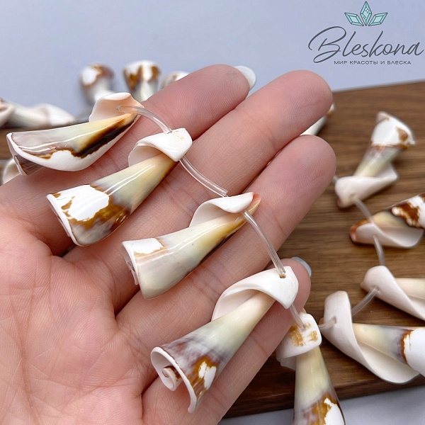 Подвеска Ракушка Спираль (11-15)*(26-35) мм уп.5шт