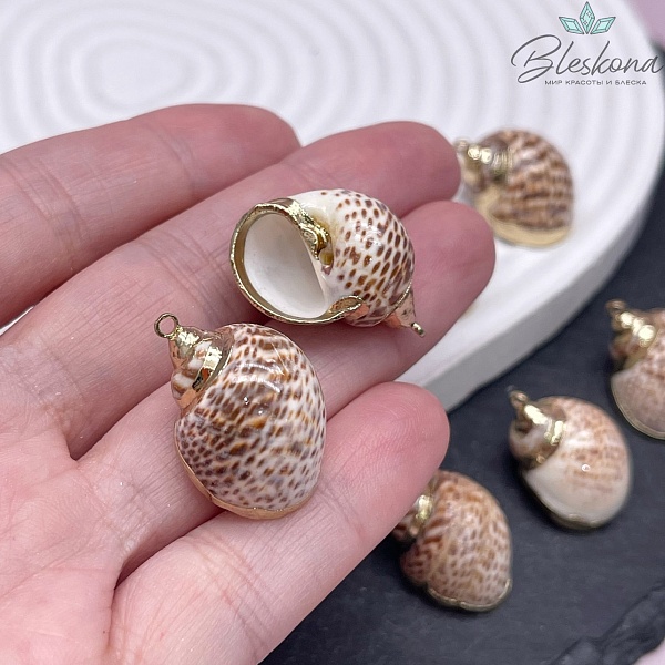 (22-25)*(17-18) мм Цвет золото, Подвеска Ракушка леопардовая