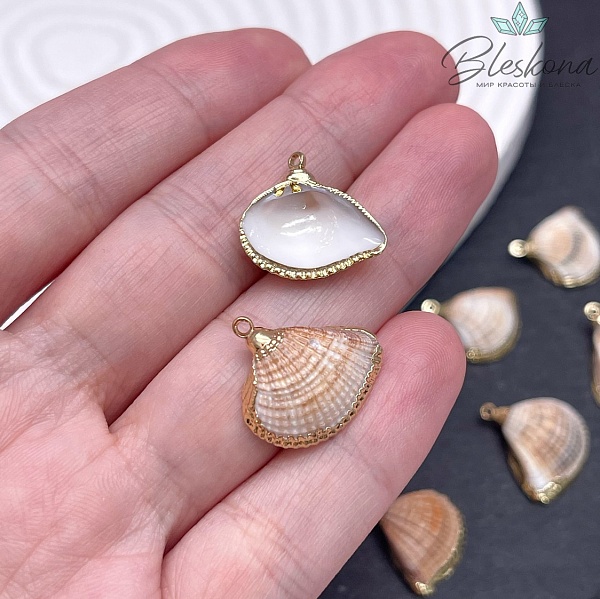 (16-19)*(16-18) мм Цвет золото, Подвеска Ракушка светло-коричневая