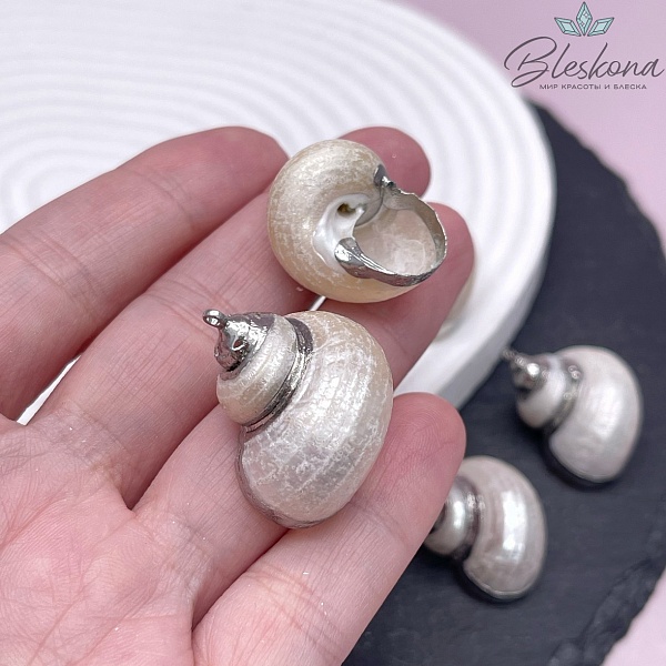 (25-27)*(21-26) мм Цвет серебро, Подвеска Ракушка 